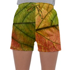 Leaf Autumn Fall Season Macro Sleepwear Shorts by Wegoenart