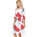 Watermelon Seamless Pattern Classy Knee Length Dress View3