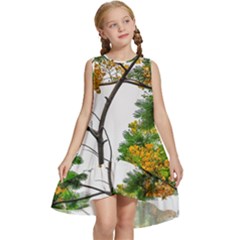 Tree Sunlight Forest Nature Landscape Sunrise Fog Kids  Frill Swing Dress by danenraven