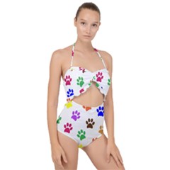 Pawprints Scallop Top Cut Out Swimsuit by artworkshop