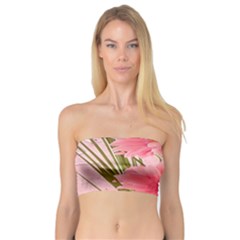 Nature Flowers Bandeau Top by Sparkle