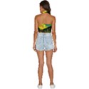 Scenic View Of Aurora Borealis Stretching Over A Lake At Night Backless Halter Cami Shirt View4