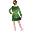 Green Water Leaf Kids  Long Sleeve Velvet Dress View2