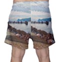 Ducks on Gardasee Men s Shorts View2