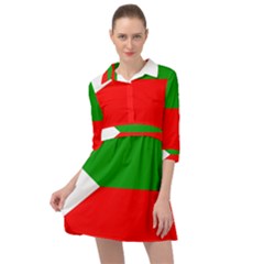 Avar People Mini Skater Shirt Dress by tony4urban