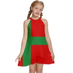 Bornholm Denmark Flag Kids  Halter Collar Waist Tie Chiffon Dress by tony4urban