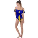 Ile De France Flag Frill Detail One Piece Swimsuit View2