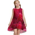 Raspberries Kids  Frill Swing Dress View1