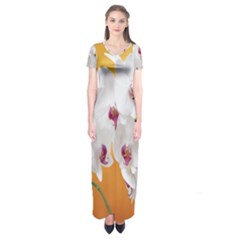 Boards Decoration Flower Flower Room Short Sleeve Maxi Dress by artworkshop