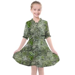 Old Stone Exterior Wall With Moss Kids  All Frills Chiffon Dress by dflcprintsclothing