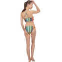 Colorful Rainbow Striped Pattern Racer Front Bikini Set View2