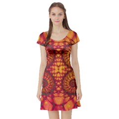 Art Pattern Fractal Design Abstract Artwork Short Sleeve Skater Dress by Ravend