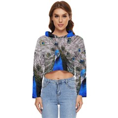 Peacock Bird Animal Feather Nature Colorful Women s Lightweight Cropped Hoodie by Ravend