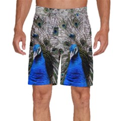 Peacock Bird Animal Feather Nature Colorful Men s Beach Shorts by Ravend