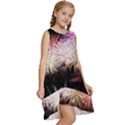 Firework Kids  Frill Swing Dress View3