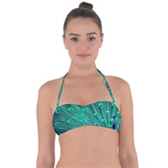 Green And Blue Peafowl Peacock Animal Color Brightly Colored Halter Bandeau Bikini Top by Semog4