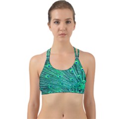 Green And Blue Peafowl Peacock Animal Color Brightly Colored Back Web Sports Bra by Semog4