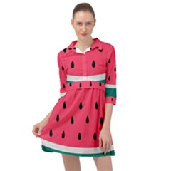 Watermelon Fruit Pattern Mini Skater Shirt Dress by Semog4