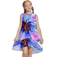 220cde476e6c434b8bbbaee3fd39d8f1 Kids  Frill Swing Dress by Fhkhan22