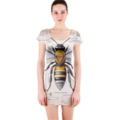 Bee Beekeeping Short Sleeve Bodycon Dress by Simbadda