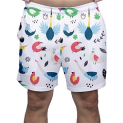 Vector Set Isolates With Cute Birds Scandinavian Style Men s Shorts by Salman4z