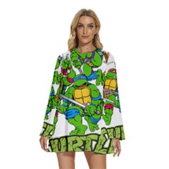 Teenage Mutant Ninja Turtles Round Neck Long Sleeve Bohemian Style Chiffon Mini Dress by Mog4mog4