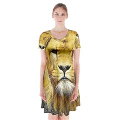 Lion Lioness Wildlife Hunter Short Sleeve V-neck Flare Dress by Mog4mog4