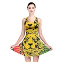 Lion Head Africa Rasta Reversible Skater Dress View1