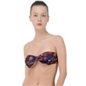 Flowers Petals Blossoms Art Flora Classic Bandeau Bikini Top  View1