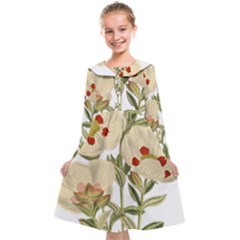 Nature-flower-leaf-plant-isolated Kids  Midi Sailor Dress by 99art