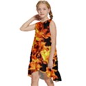 Live Coals Kids  Frill Swing Dress View2