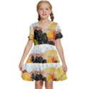 Variety Of Fruit Water Berry Food Splash Kiwi Grape Kids  Short Sleeve Tiered Mini Dress View1