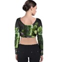 Drink Spinach Smooth Apple Ginger Velvet Long Sleeve Crop Top View2