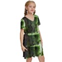 Drink Spinach Smooth Apple Ginger Kids  Short Sleeve Tiered Mini Dress View3