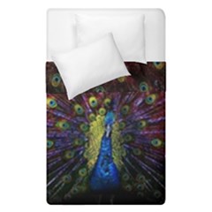 Peacock Feathers Duvet Cover Double Side (single Size) by Wav3s