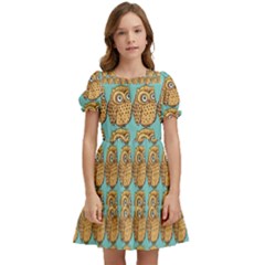 Owl Bird Pattern Kids  Puff Sleeved Dress by Vaneshop