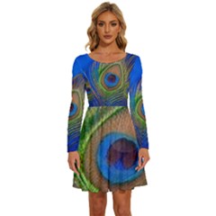 Blue Peacock Feather Long Sleeve Wide Neck Velvet Dress by Amaryn4rt