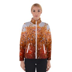 Late Afternoon Women s Bomber Jacket by artworkshop