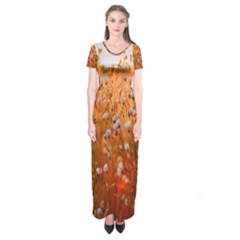 Late Afternoon Short Sleeve Maxi Dress by artworkshop