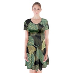 Autumn Fallen Leaves Dried Leaves Short Sleeve V-neck Flare Dress by Simbadda