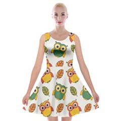 Background-with-owls-leaves-pattern Velvet Skater Dress by Simbadda