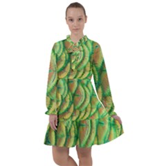 Beautiful Peacock All Frills Chiffon Dress by Simbadda