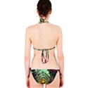 Monkey Tiger Bird Parrot Forest Jungle Style Classic Bikini Set View2