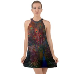 Peacock Feather Bird Halter Tie Back Chiffon Dress by Bedest