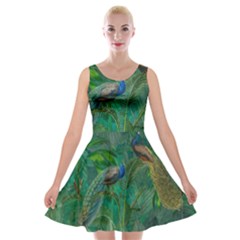 Peacock Paradise Jungle Velvet Skater Dress by Bedest