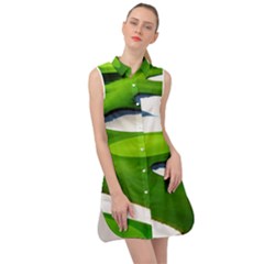 Golf Course Par Green Sleeveless Shirt Dress by Sarkoni