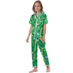 Golf Course Par Golf Course Green Kids  Satin Short Sleeve Pajamas Set by Sarkoni