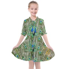 Peacock,army 1 Kids  All Frills Chiffon Dress by nateshop