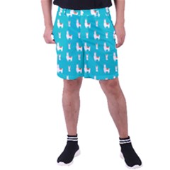 Lama Alpaca Animal Pattern Design Men s Pocket Shorts by Pakjumat