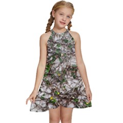 Climbing Plant At Outdoor Wall Kids  Halter Collar Waist Tie Chiffon Dress by dflcprintsclothing